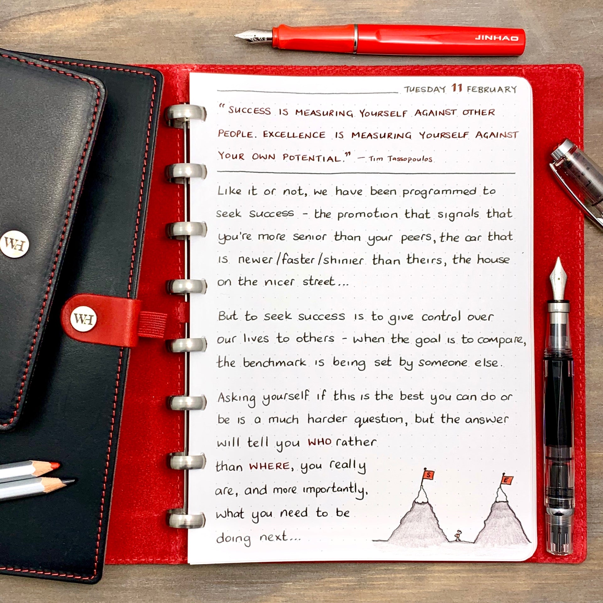 Success vs Excellence