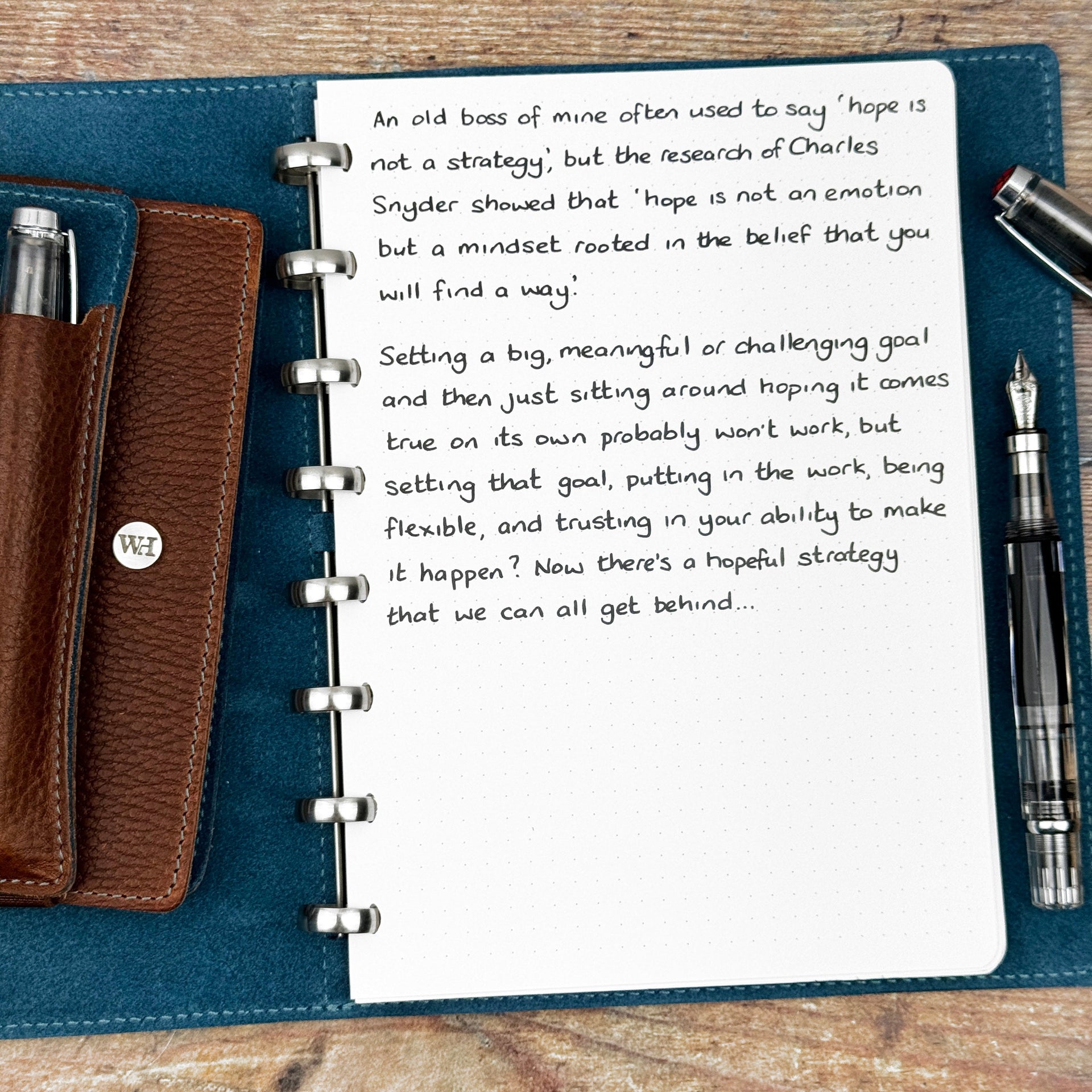 A Hopeful Strategy...